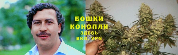 Альфа ПВП Богородск