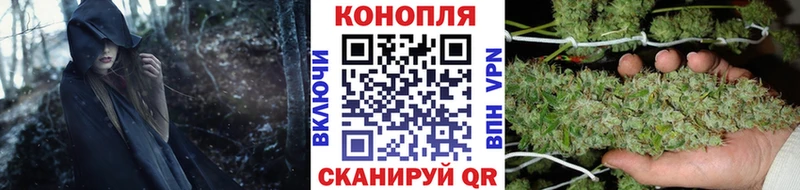 Бошки Шишки сатива  Кирсанов 